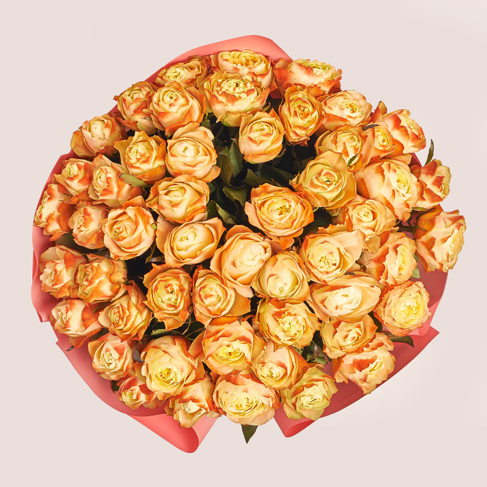 Product image Bouquet of 51 Roses Karma, packaging: Gradiens pink, vendor code: 3714