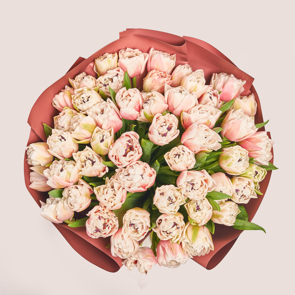 Product image Bouquet of 51 pink and white peony Tulips, packaging: Coral, vendor code: 3716