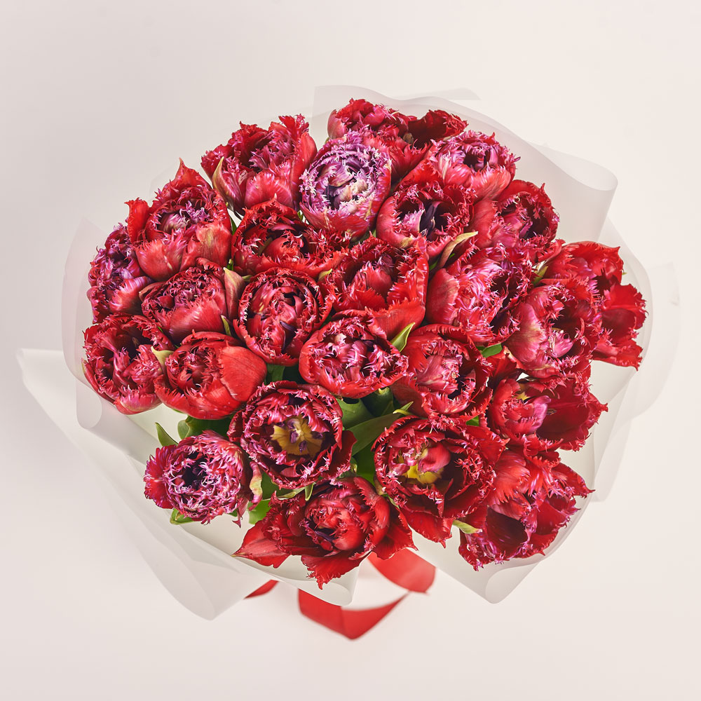 Product image Bouquet of 25 red terry Tulips, packaging: Transparent, vendor code: 3717