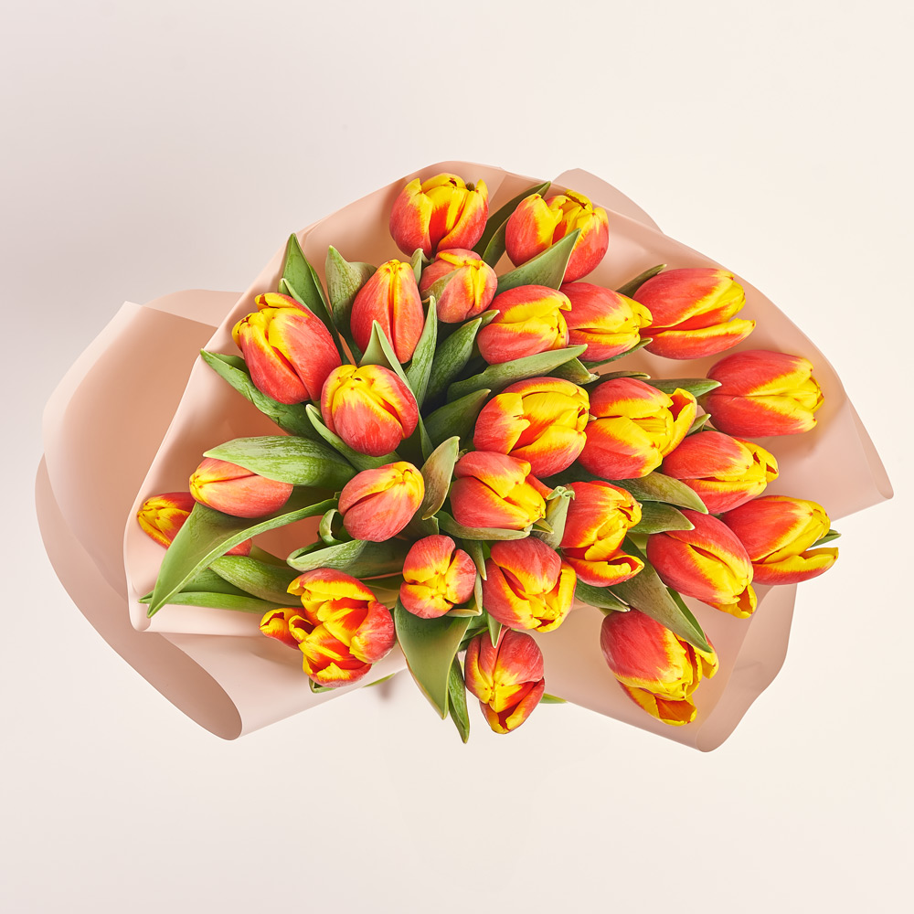 Product image Bouquet of 25 red and yellow Tulips, packaging: Powder, vendor code: 3718