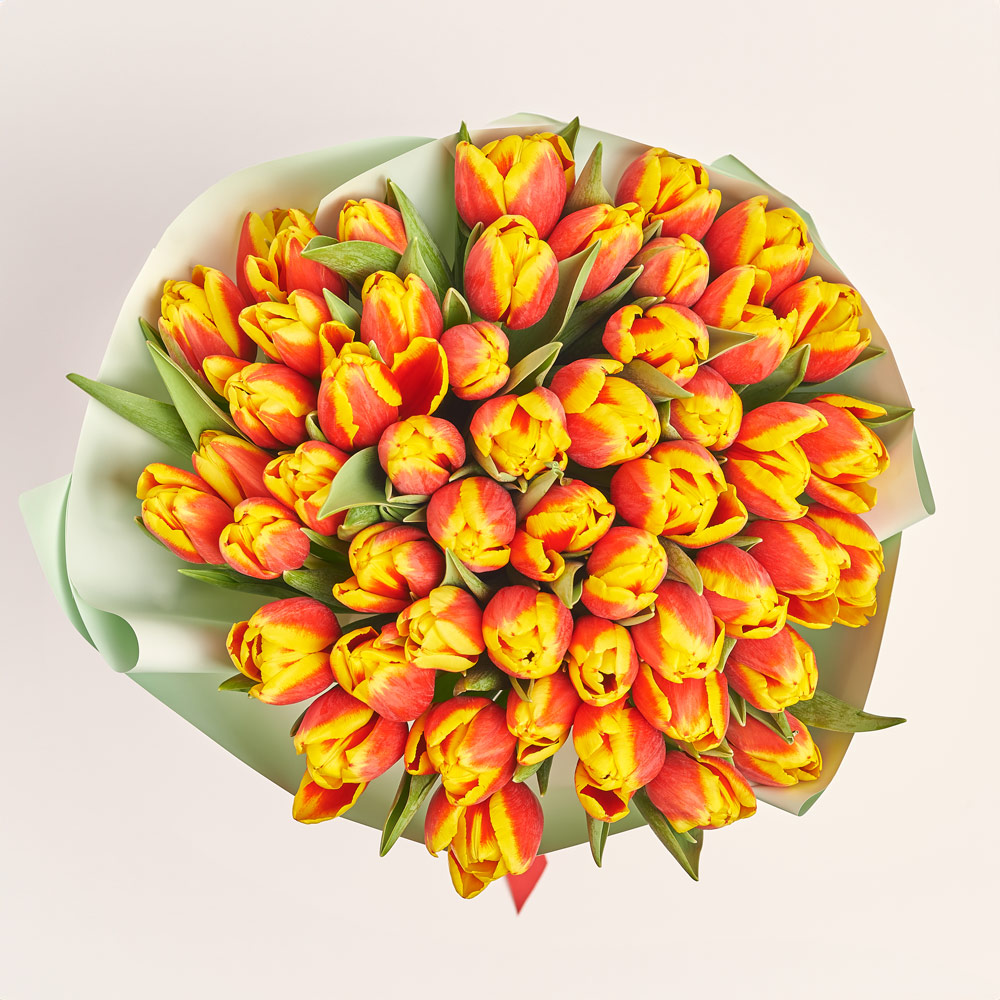 Product image Bouquet of 51 red and yellow Tulips, packaging: Gradiens tiffany, vendor code: 3719