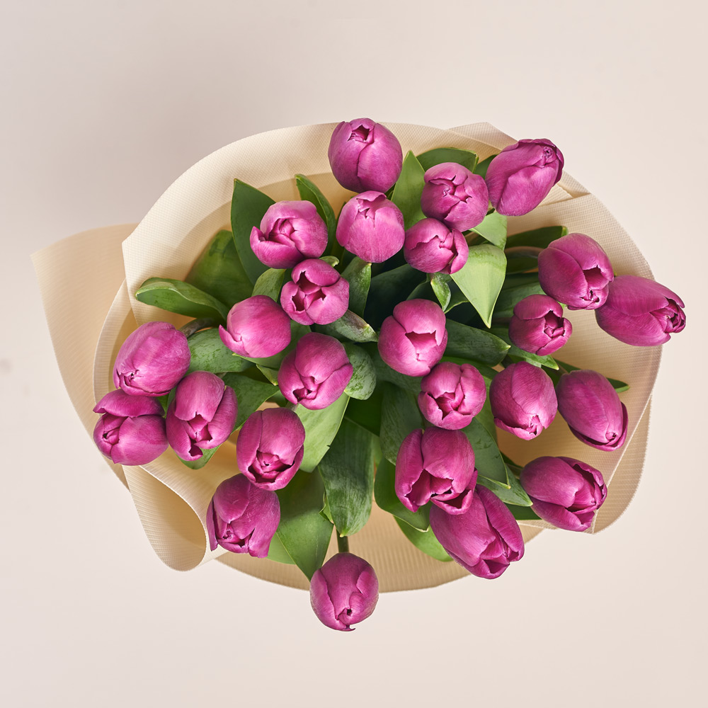 Product image Bouquet of 25 purple Tulips Classic, packaging: Kafin cream, vendor code: 3722