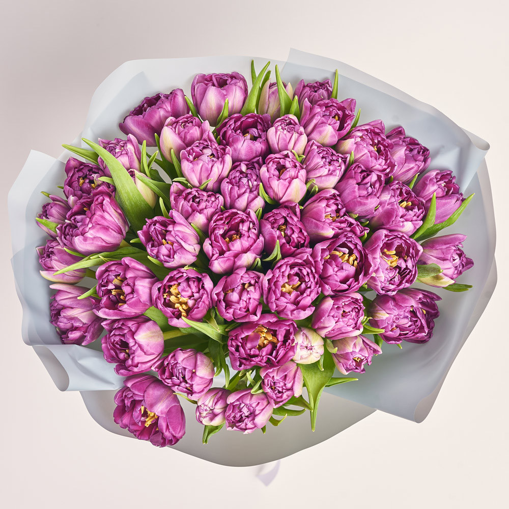 Product image Bouquet of 51 Purple Tulips Double, packaging: Gray, vendor code: 3723