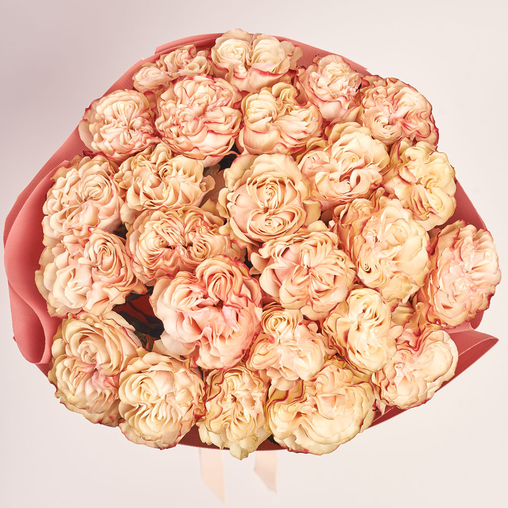 Product image Bouquet of 25 peony Roses Candy, packaging: Kafin rust, vendor code: 3728