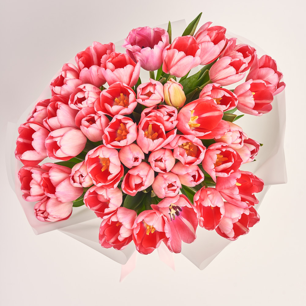 Product image Bouquet of 51 pink Tulips Classic, packaging: Transparent, vendor code: 3730