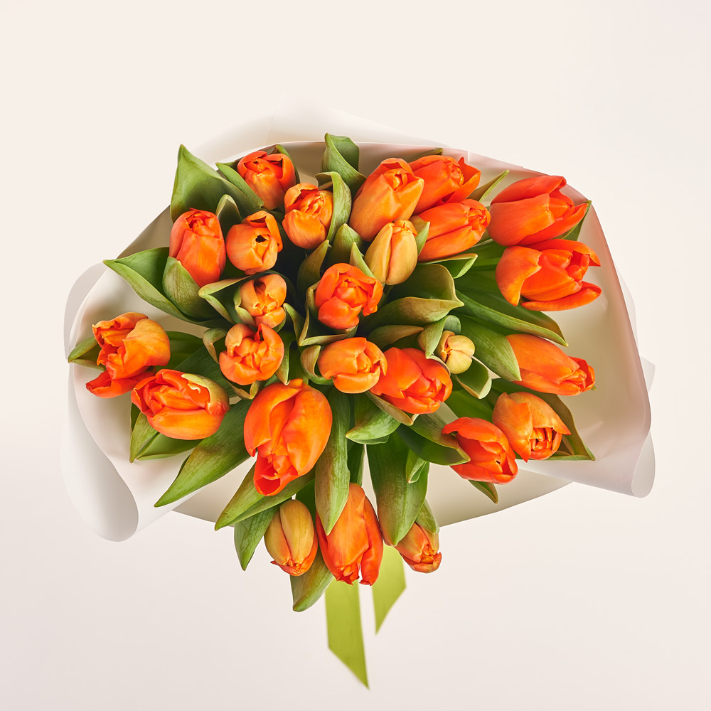 Product image Bouquet of 25 orange Tulips Classic, packaging: White, vendor code: 3738