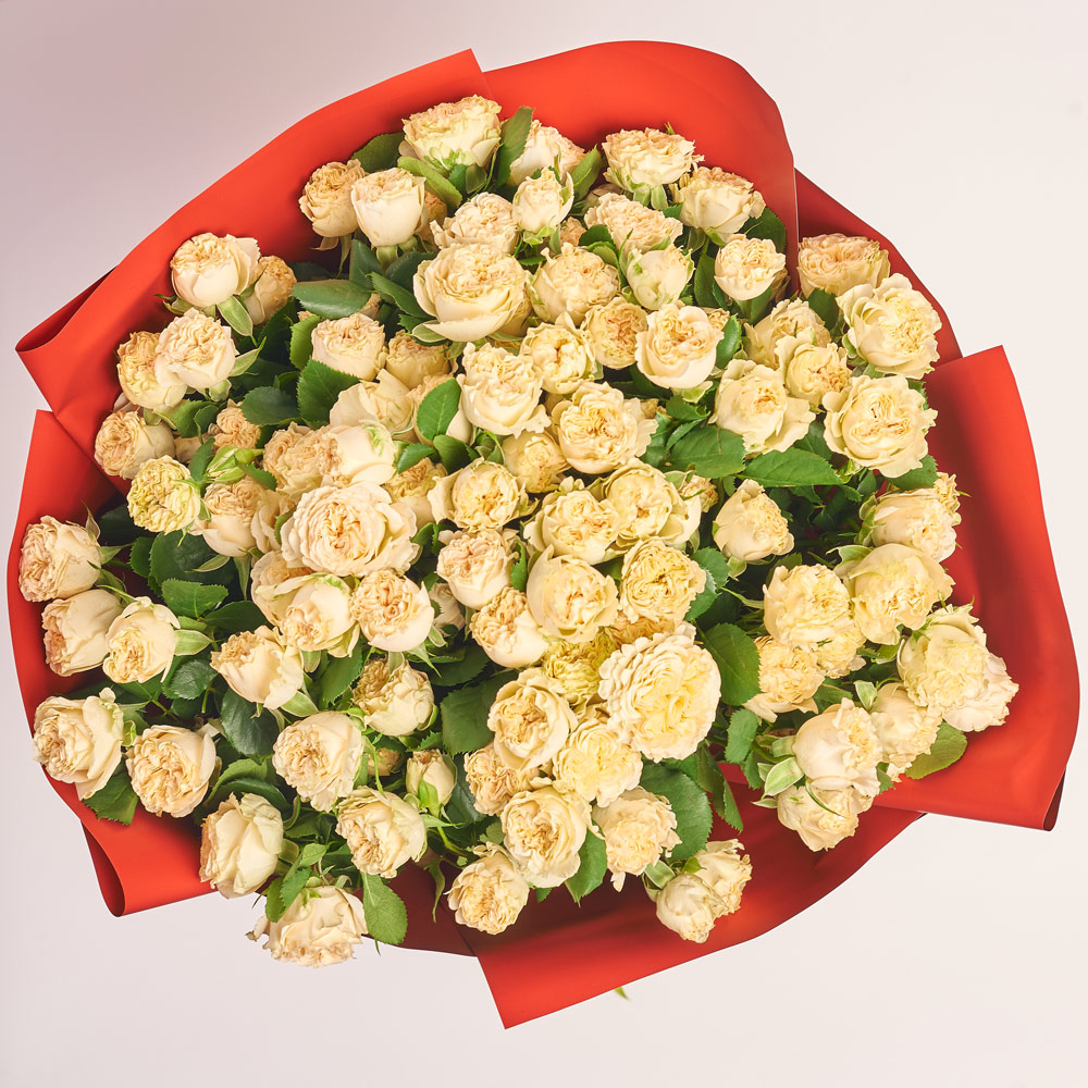 Product image Bouquet of 25 Beige Roses Spray, packaging: Red, vendor code: 3750