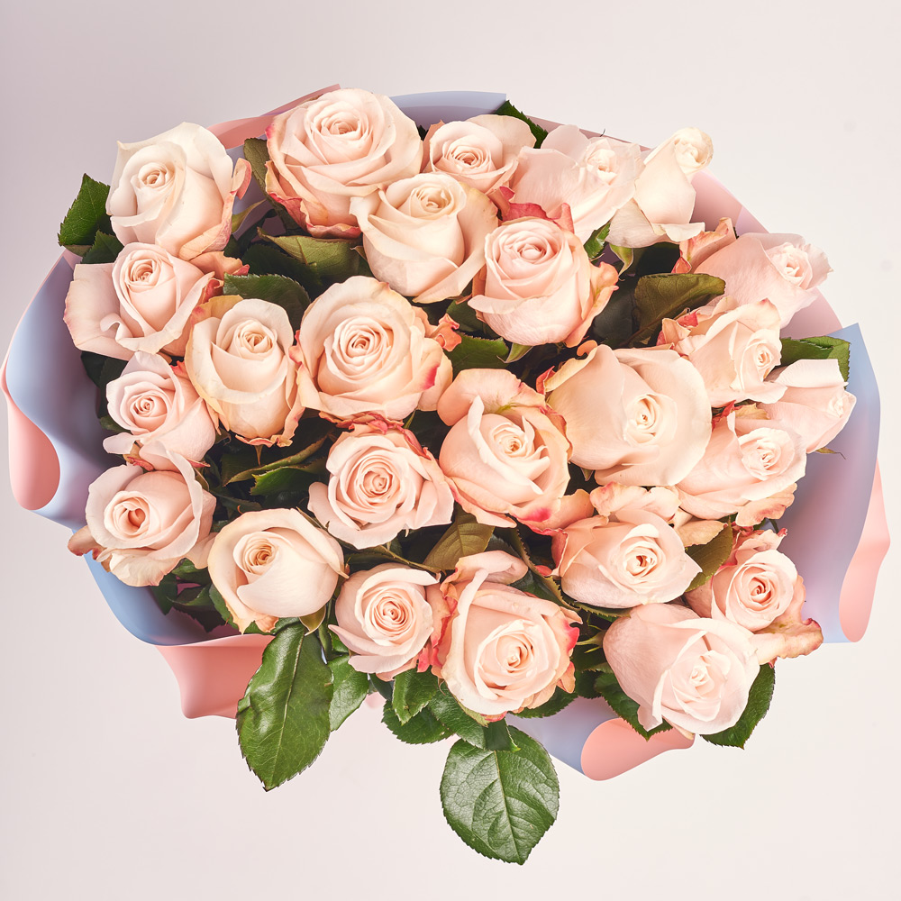 Product image Bouquet 25 Pomaros roses, packaging: Gradiens light blue, vendor code: 3752