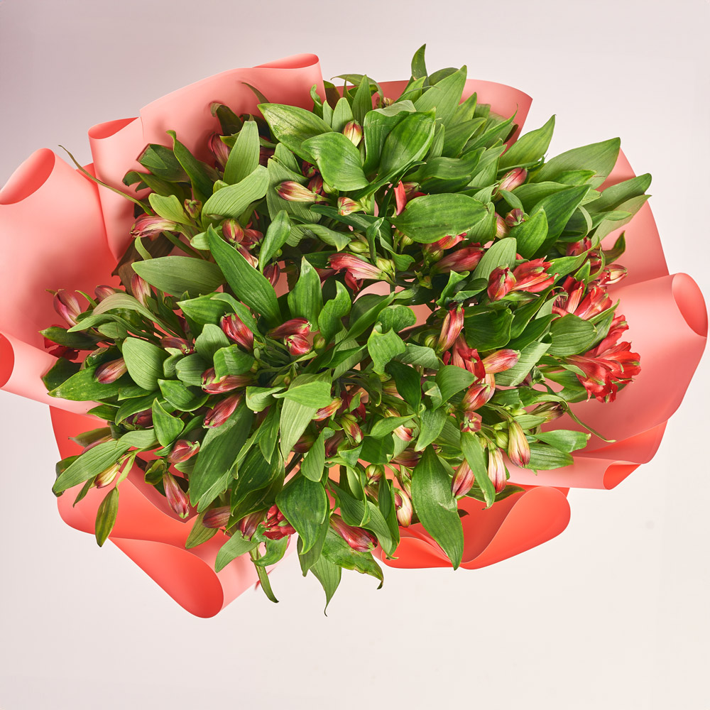 Product image Bouquet of 25 red Alstroemerias, packaging: Gradiens pink, vendor code: 3754