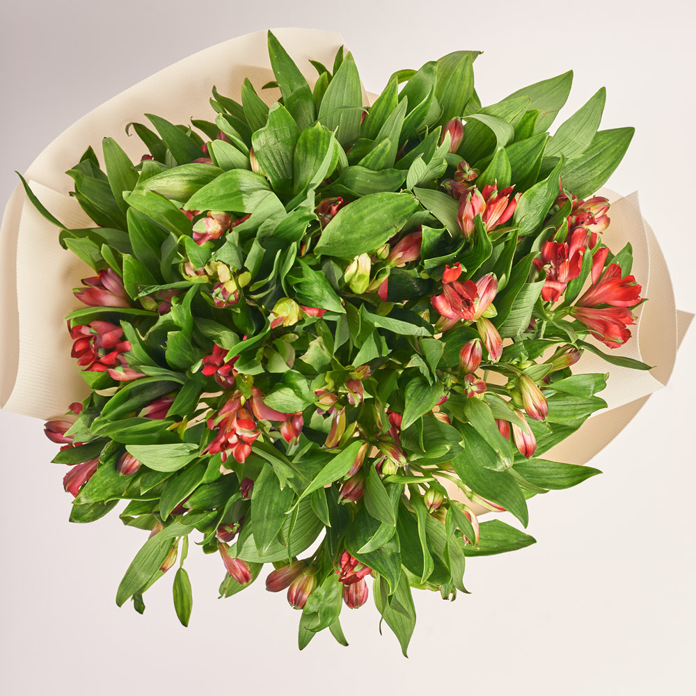 Product image Bouquet of 25 red Alstroemerias, vendor code: 3754