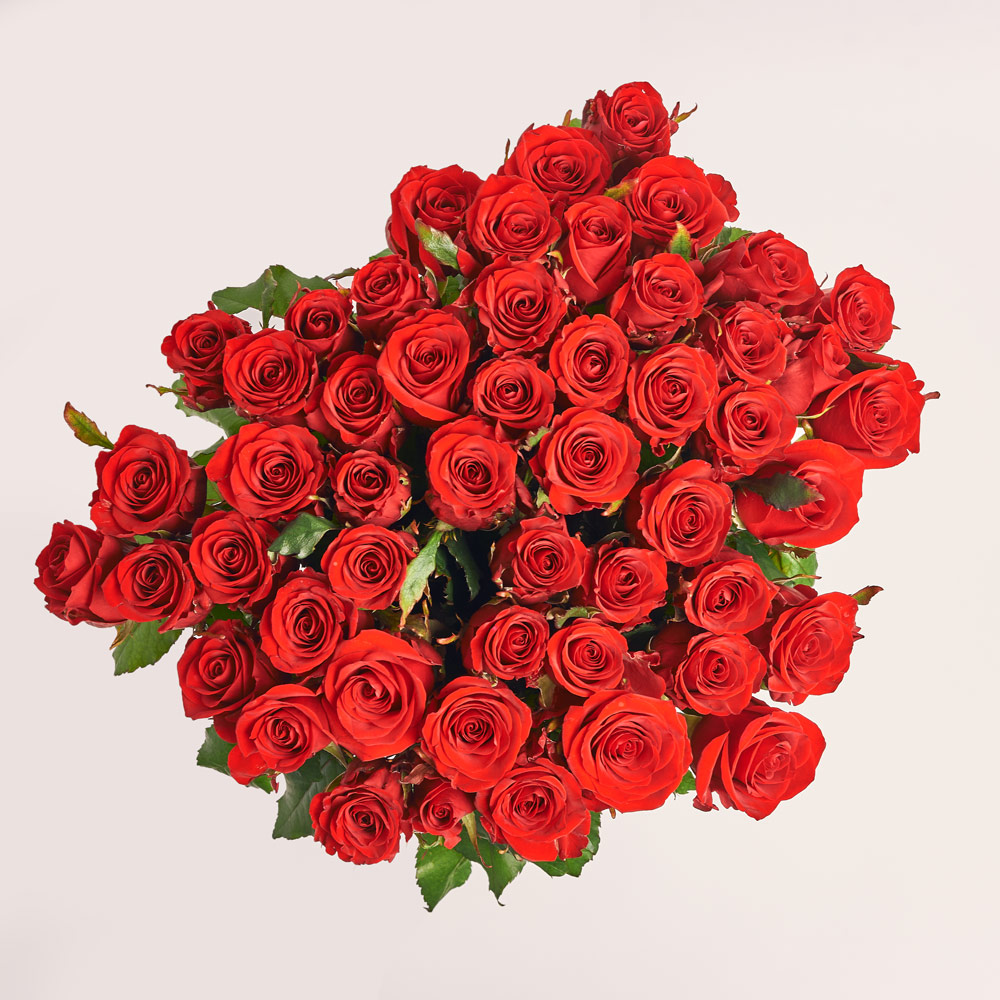 Зображення товару , артикул: 