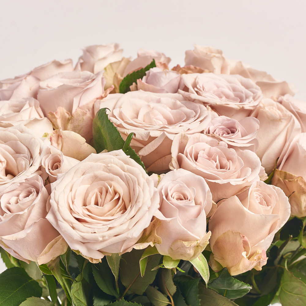 Product image Bouquet of 25 Powder Roses, packaging: Gradiens tiffany, vendor code: 3762