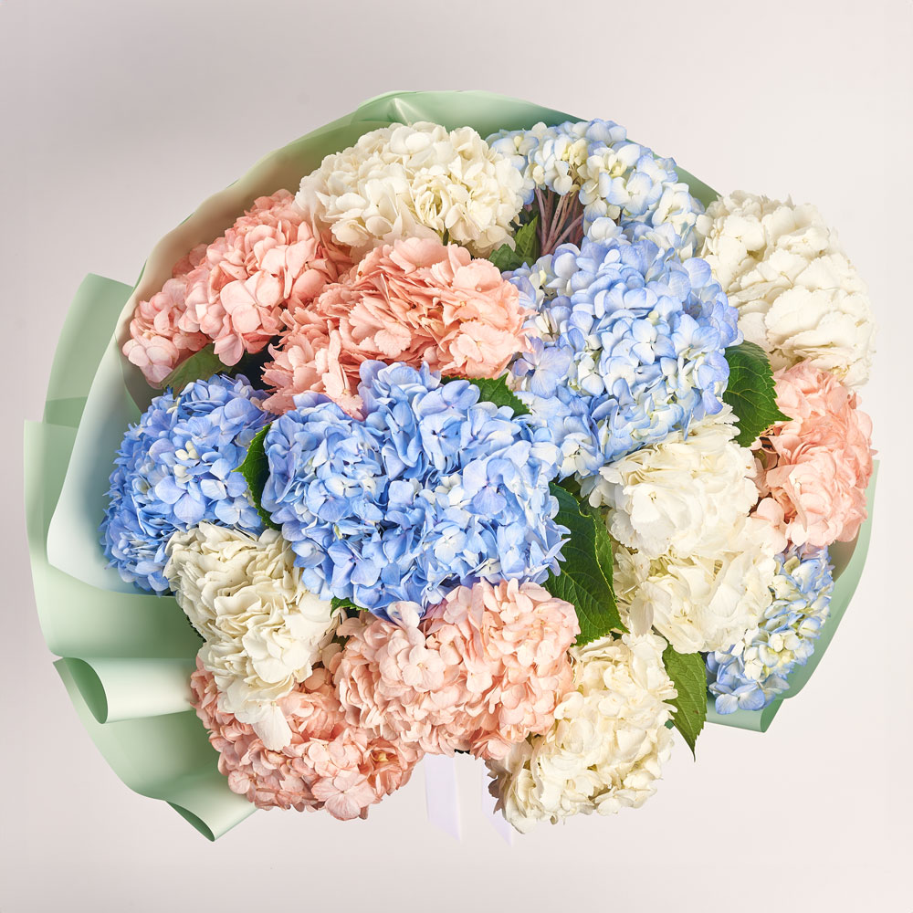 Product image Bouquet of 15 Hydrangeas Mix, packaging: Gradiens tiffany, vendor code: 3764