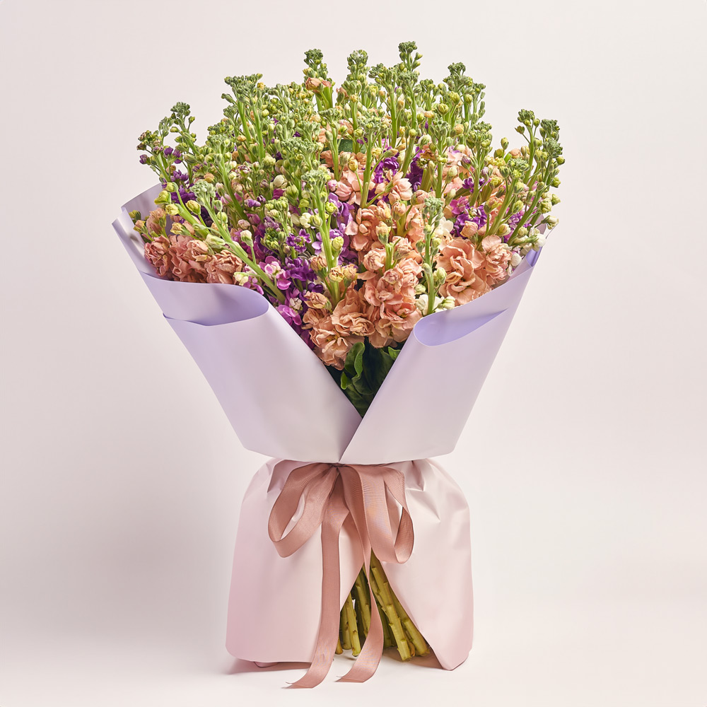 Product image Bouquet 101 Matiola Mix, packaging: Gradiens violet, vendor code: 3766