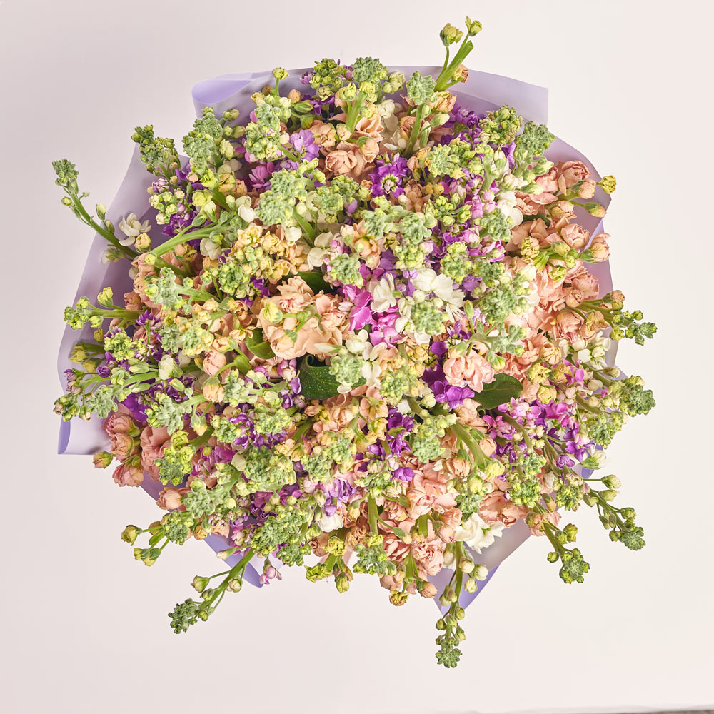 Product image Bouquet 101 Matiola Mix, packaging: Gradiens violet, vendor code: 3766