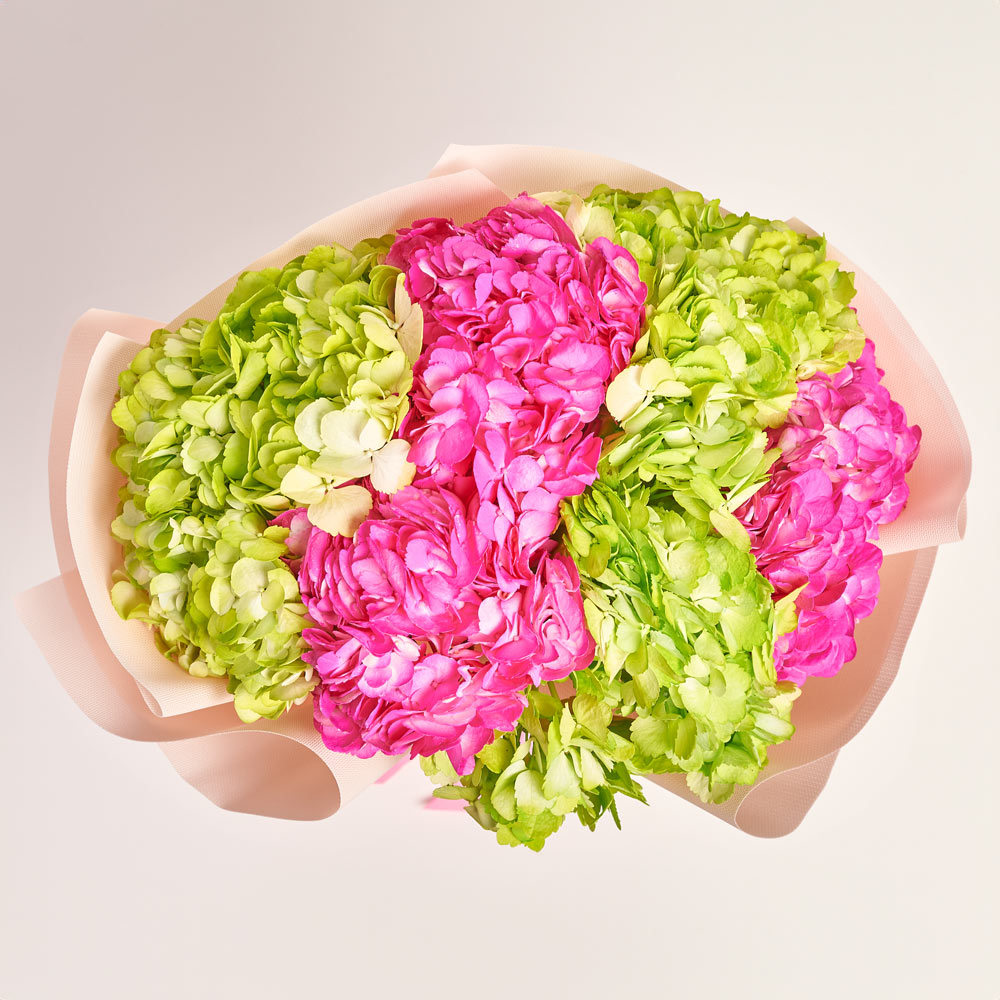 Product image Bouquet of 7 green and crimson Hydrangeas mix, packaging: Kafin rose, vendor code: 3767