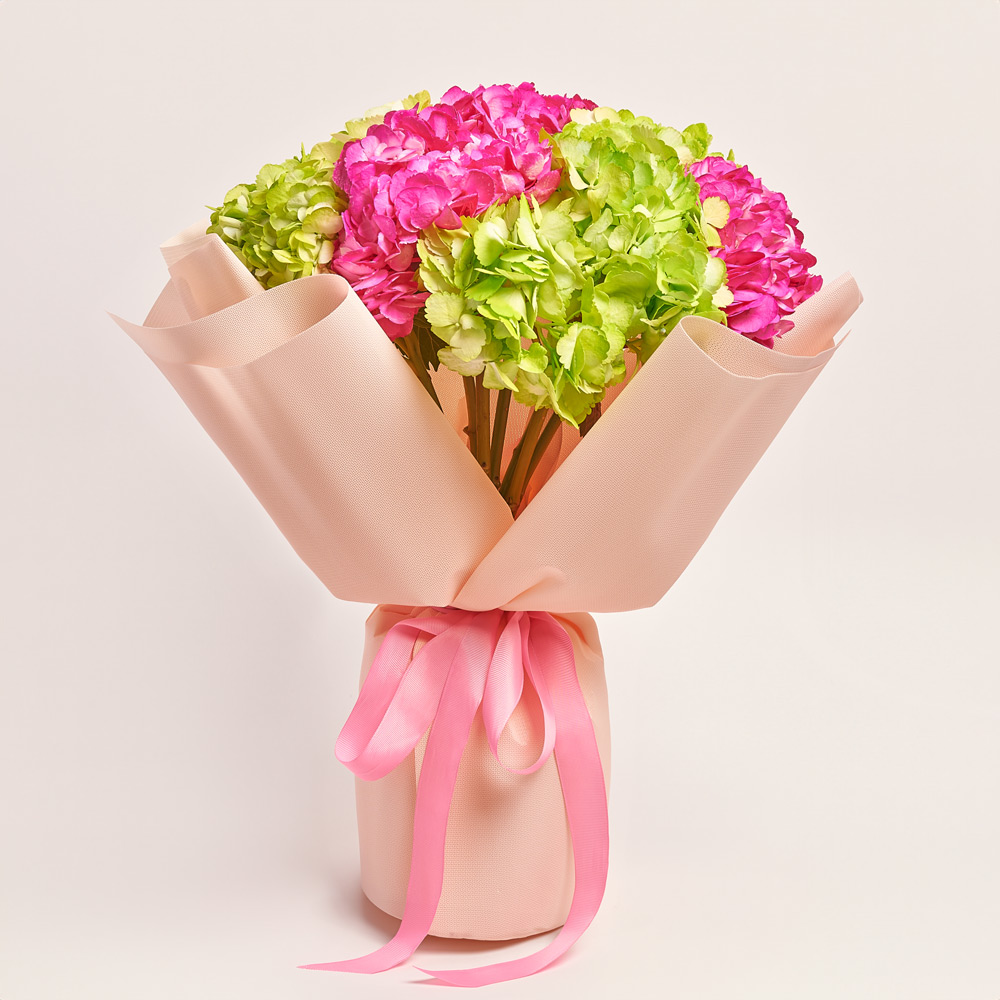 Product image Bouquet of 7 green and crimson Hydrangeas mix, packaging: Kafin rose, vendor code: 3767