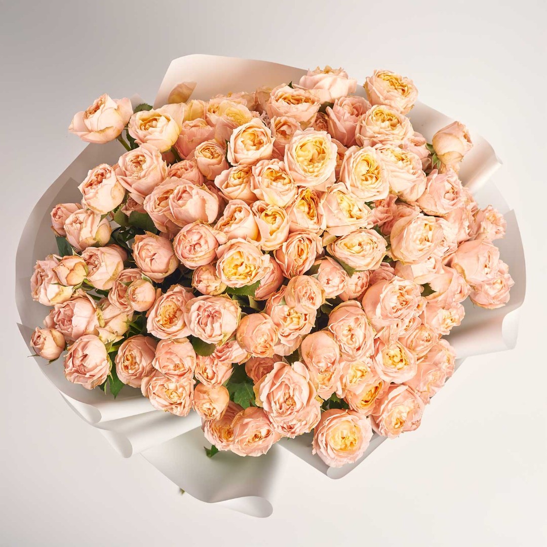Product image , vendor code: 