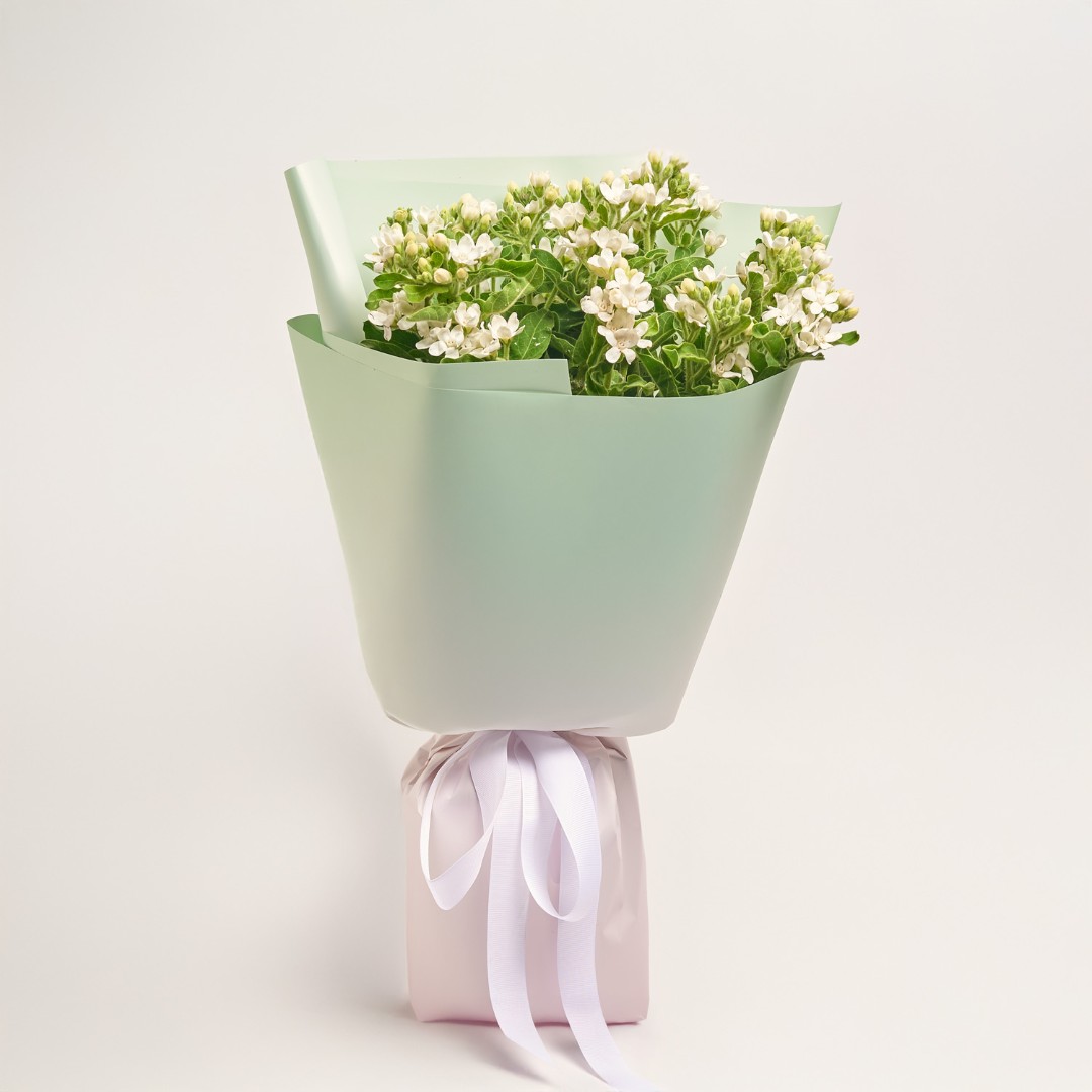 Product image , vendor code: 
