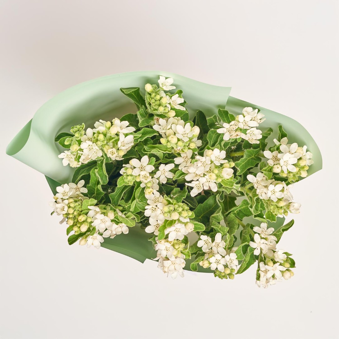 Product image , vendor code: 