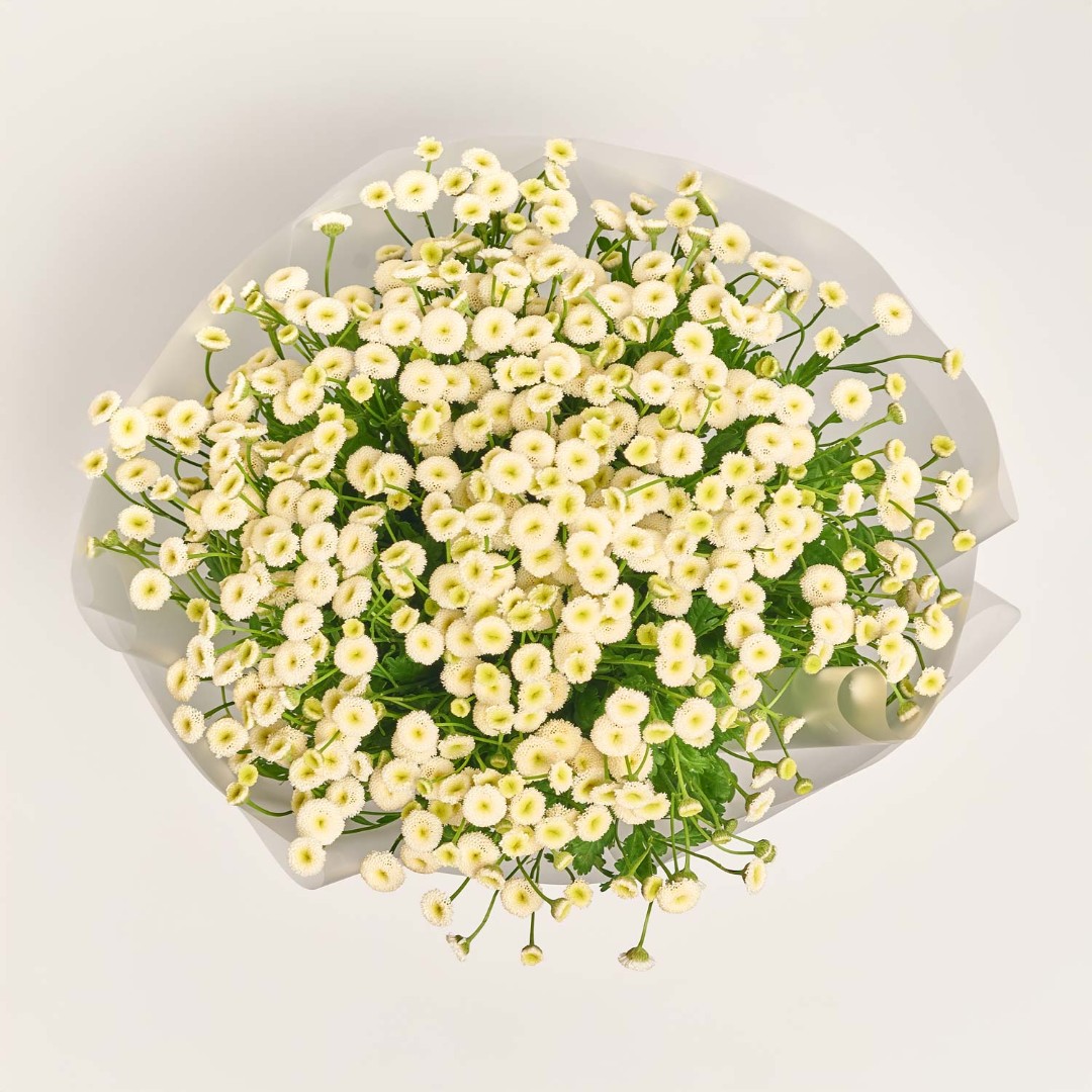 Product image , vendor code: 