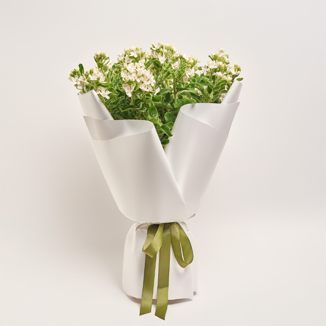 Product image , vendor code: 