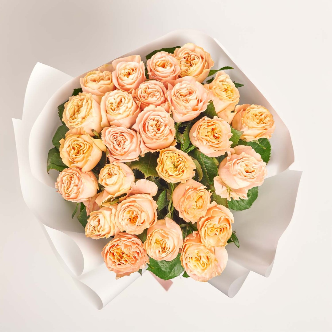 Product image , vendor code: 