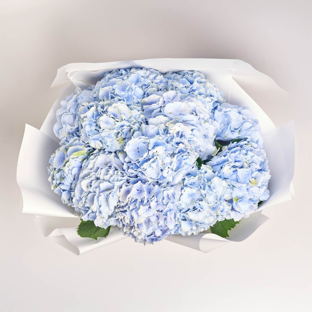 Product image , vendor code: 