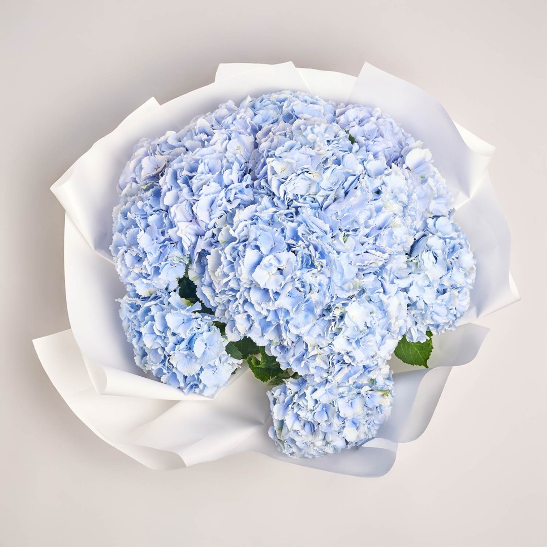 Product image , vendor code: 