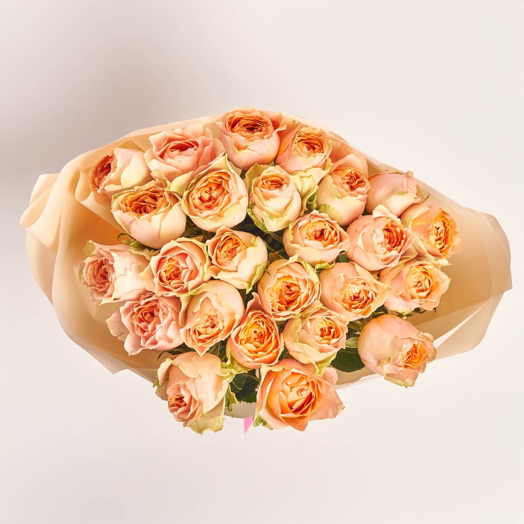 Product image , vendor code: 