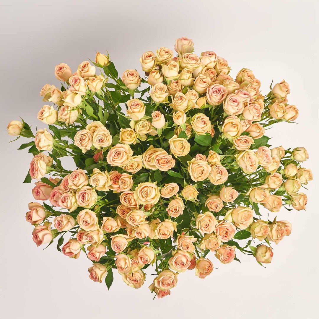 Изображение товара , артикул: 