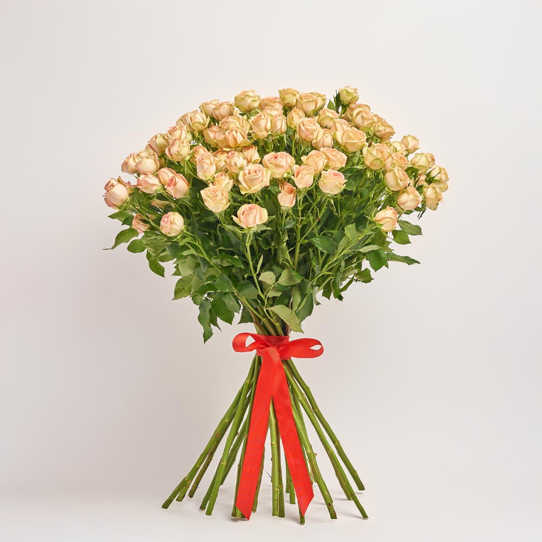 Зображення товару , артикул: 