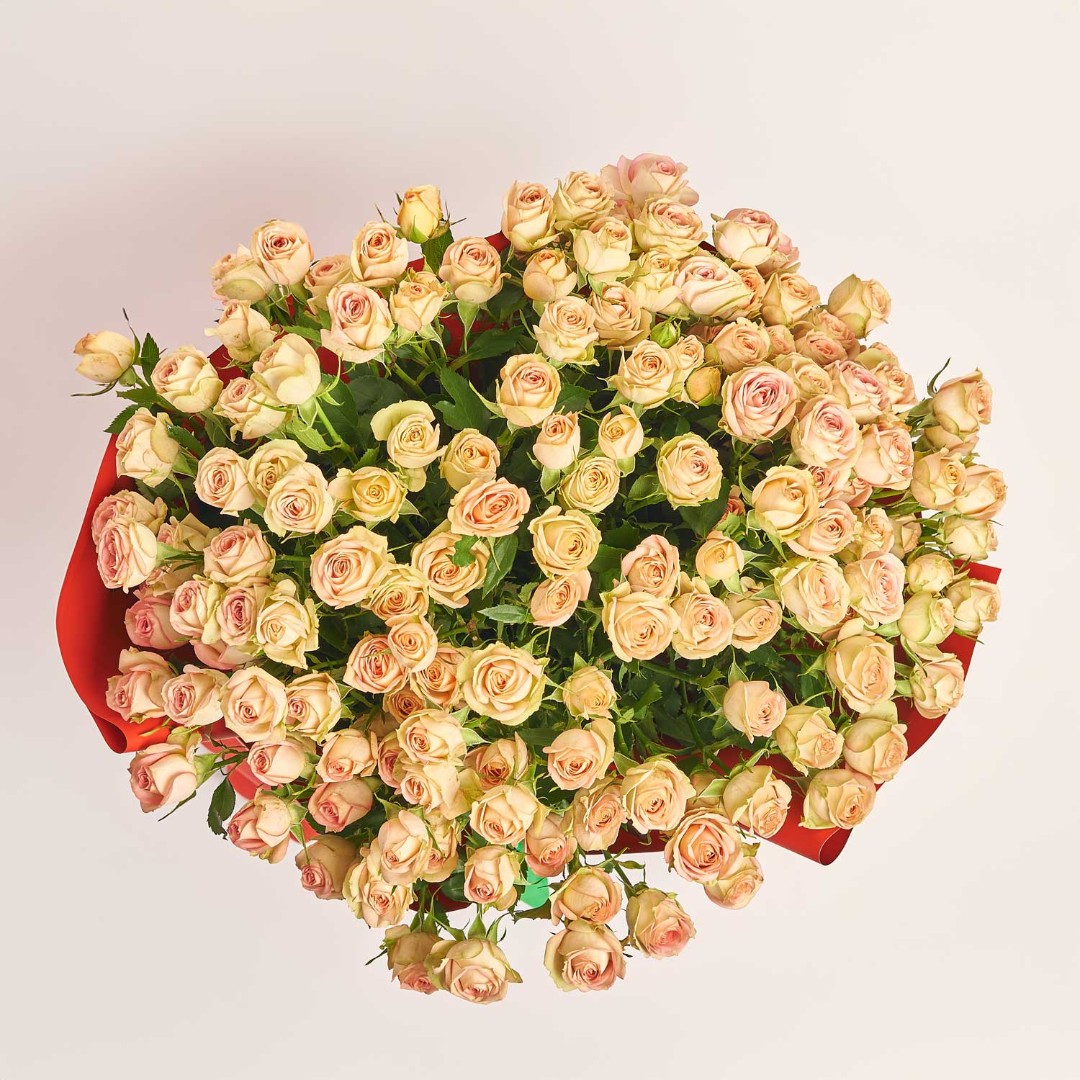 Product image , vendor code: 