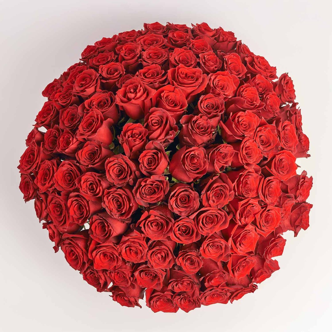 Product image , vendor code: 