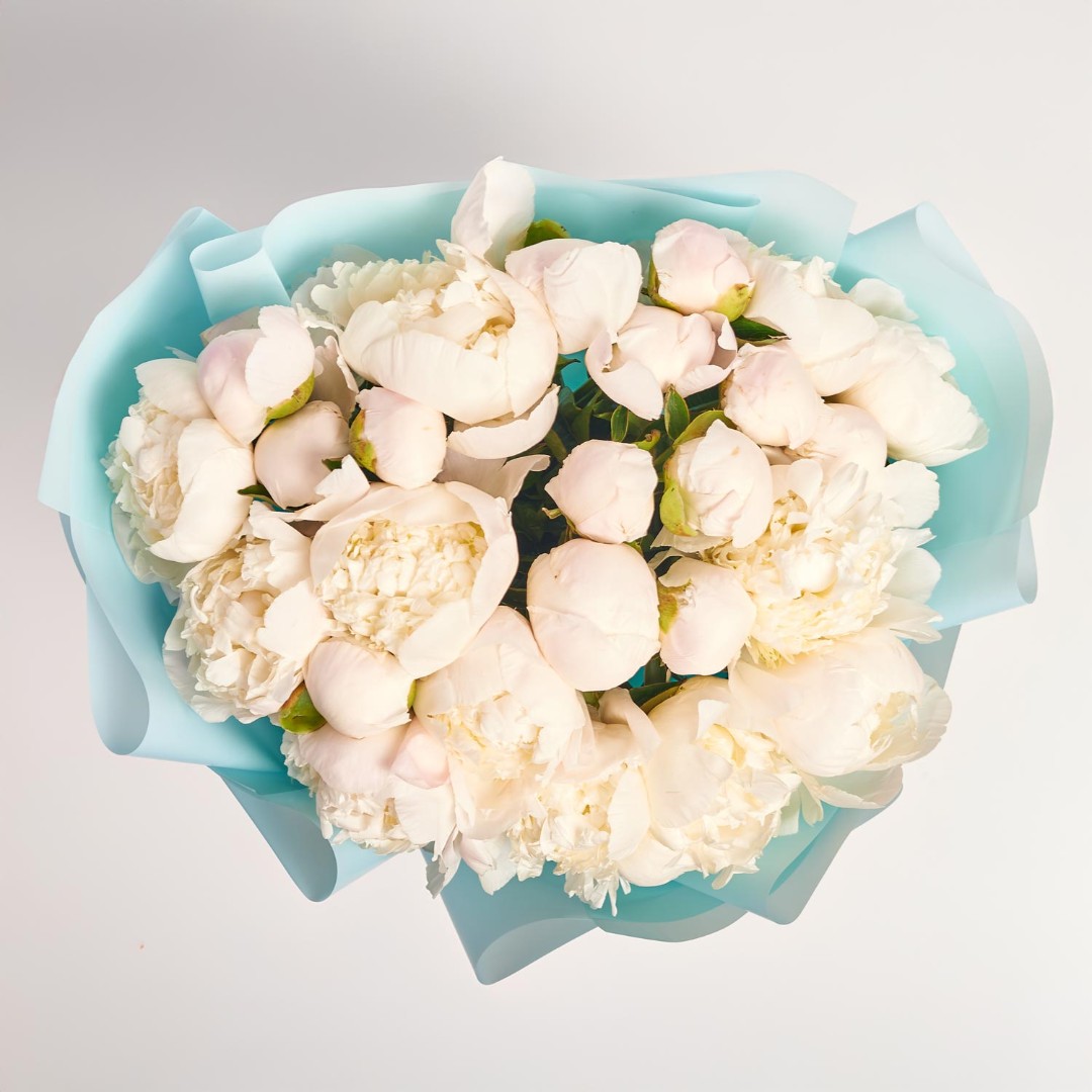 Product image , vendor code: 