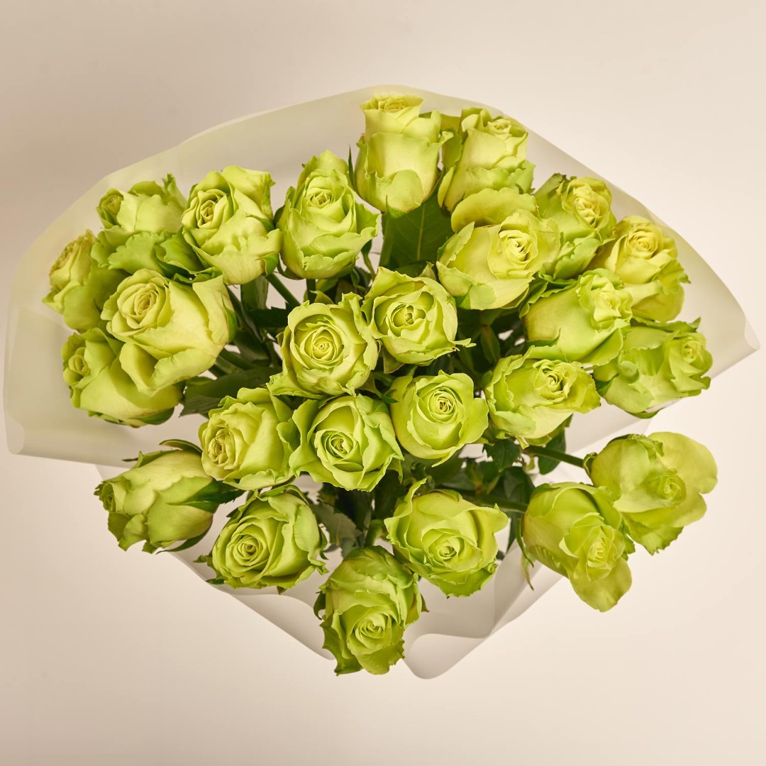 Product image , vendor code: 