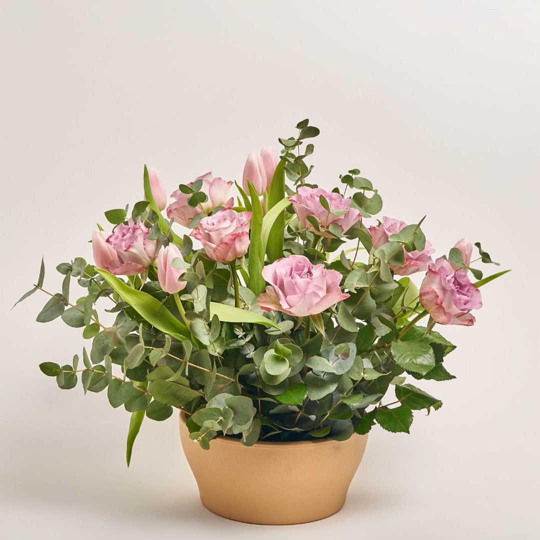 Изображение товара , артикул: 