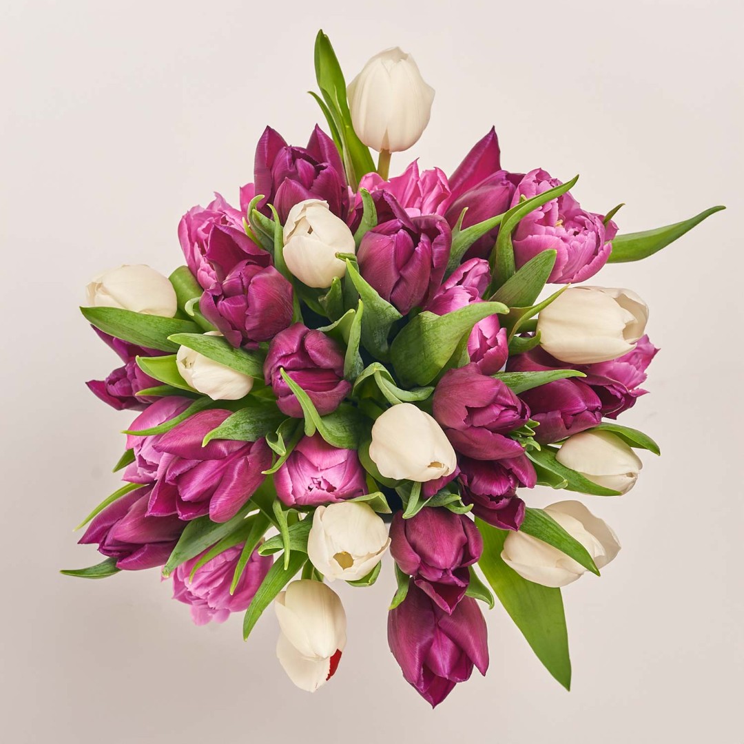 Зображення товару , артикул: 