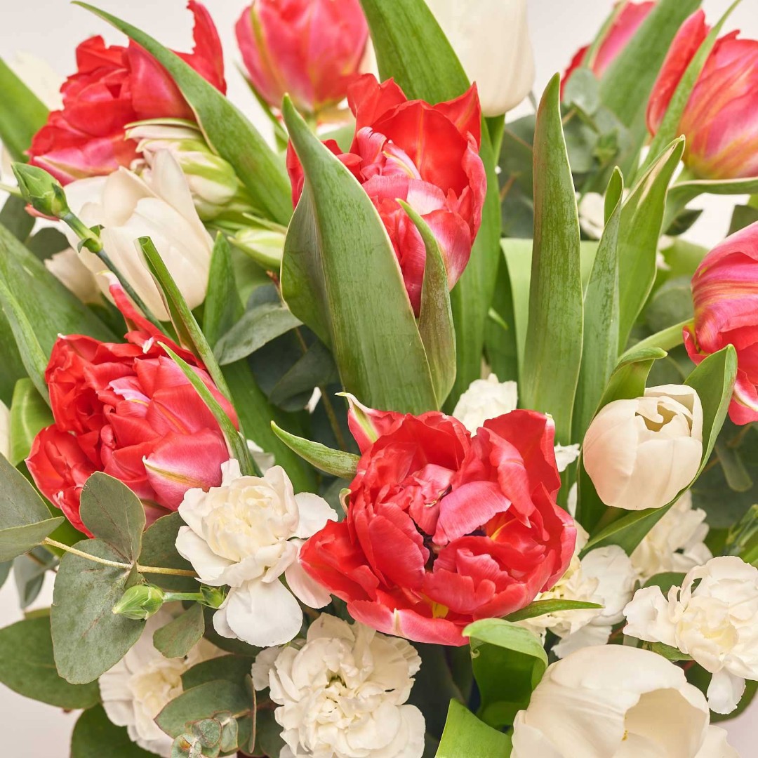 Product image , vendor code: 