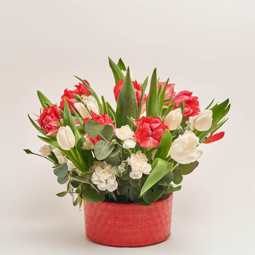 Product image , vendor code: 