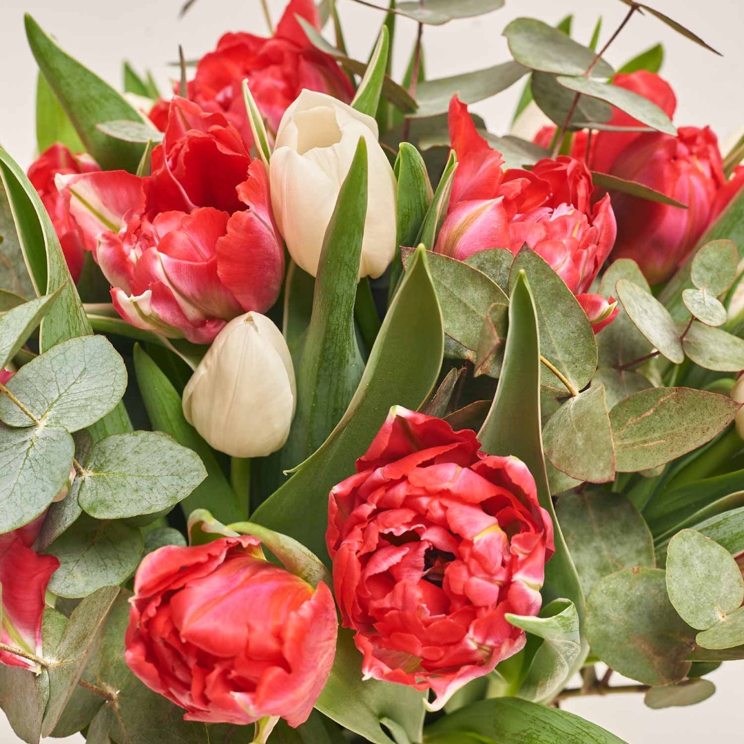 Зображення товару , артикул: 