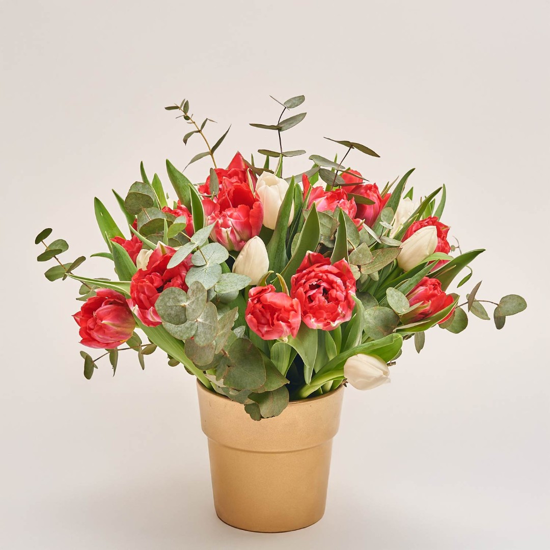 Product image , vendor code: 