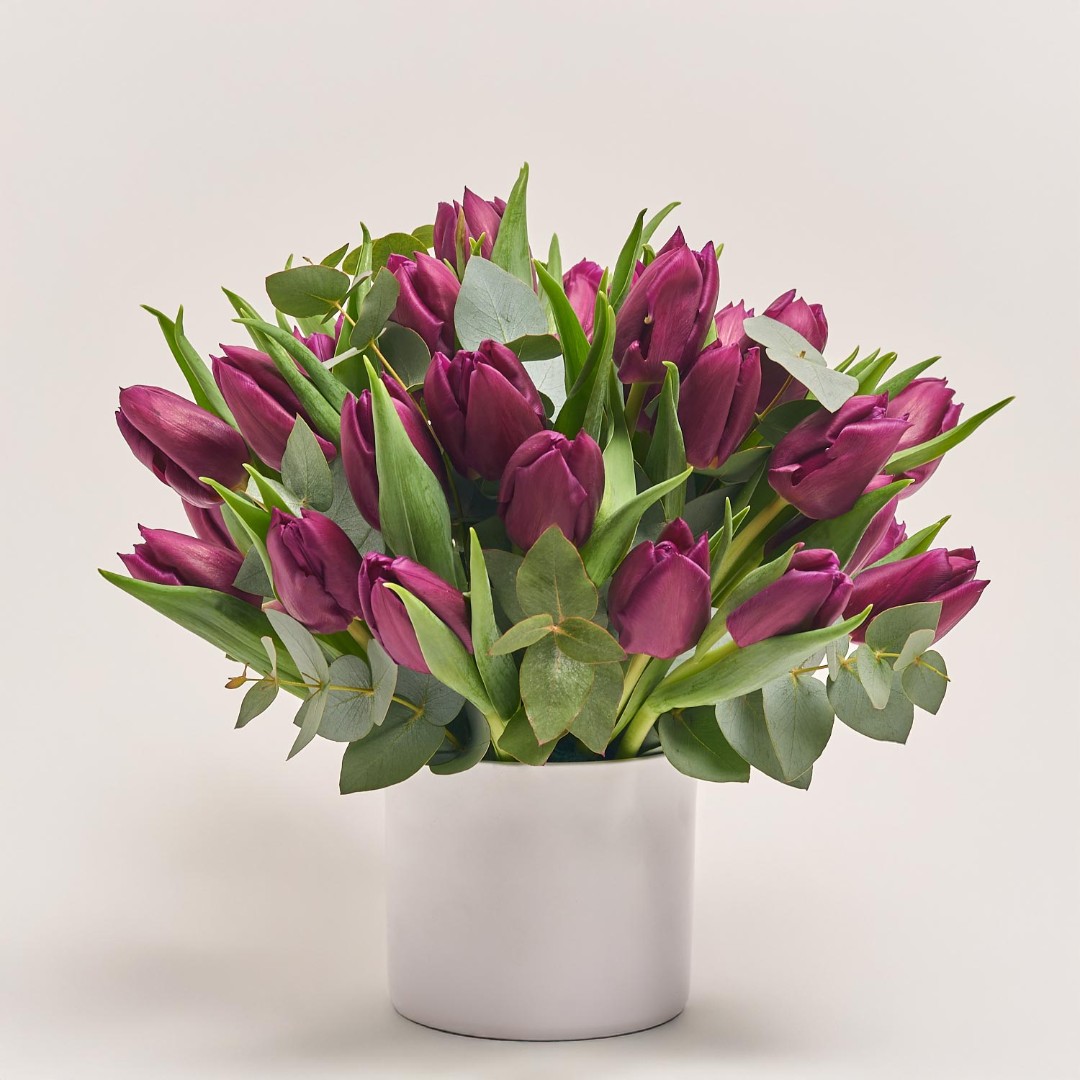 Product image , vendor code: 