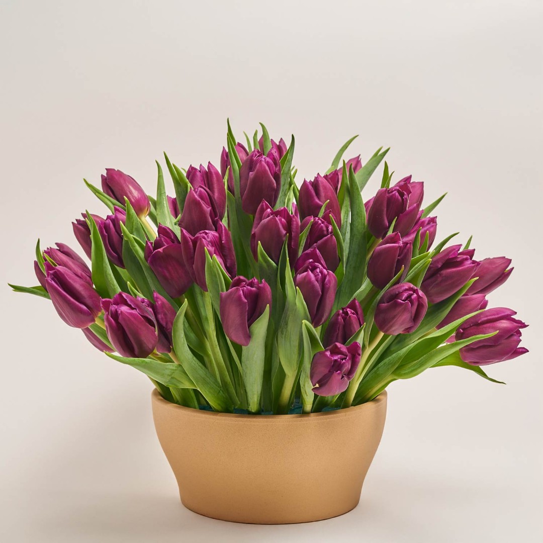 Product image , vendor code: 