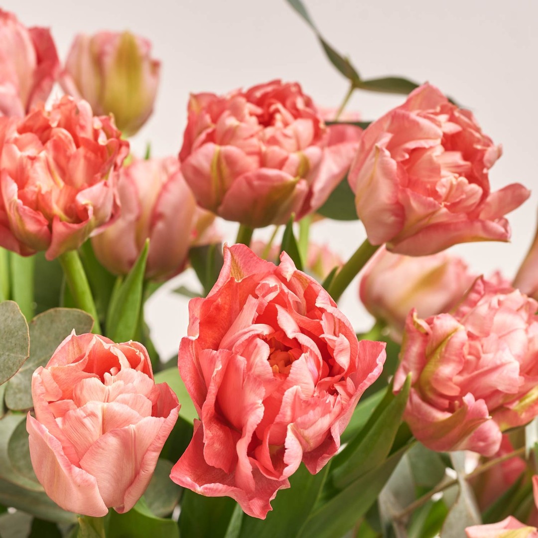 Изображение товара , артикул: 