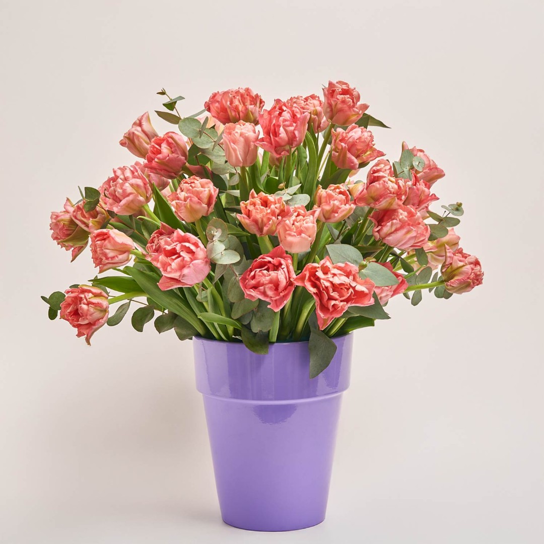 Изображение товара , артикул: 