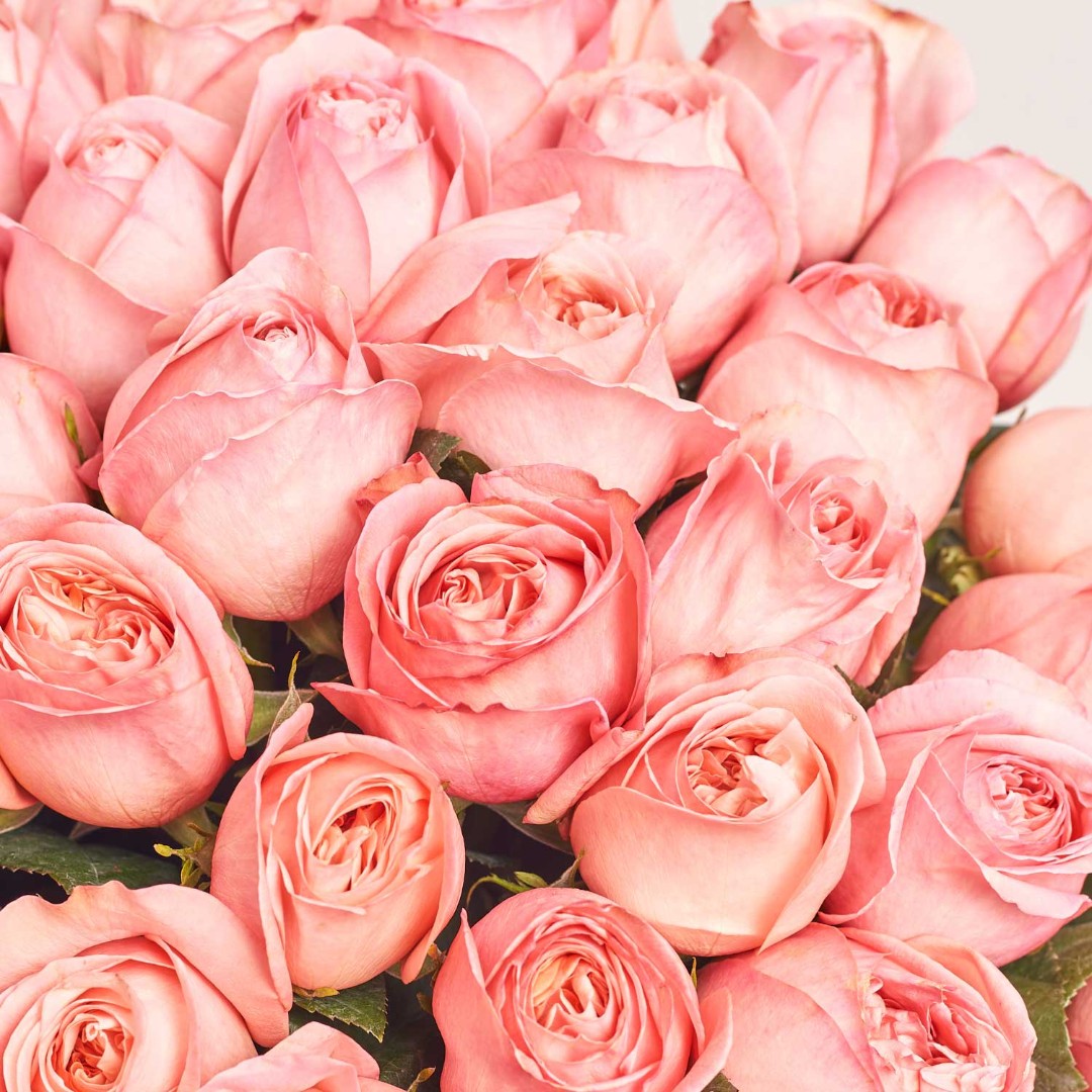 Зображення товару , артикул: 