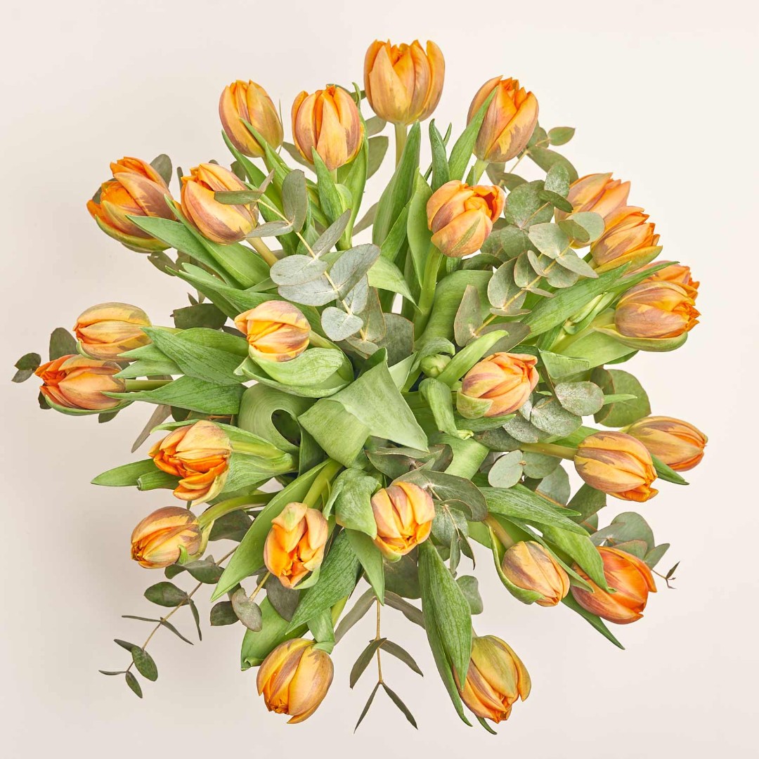 Product image 25 Orange Peony Tulips and Eucaliptus in flowerpot, vendor code: 4005