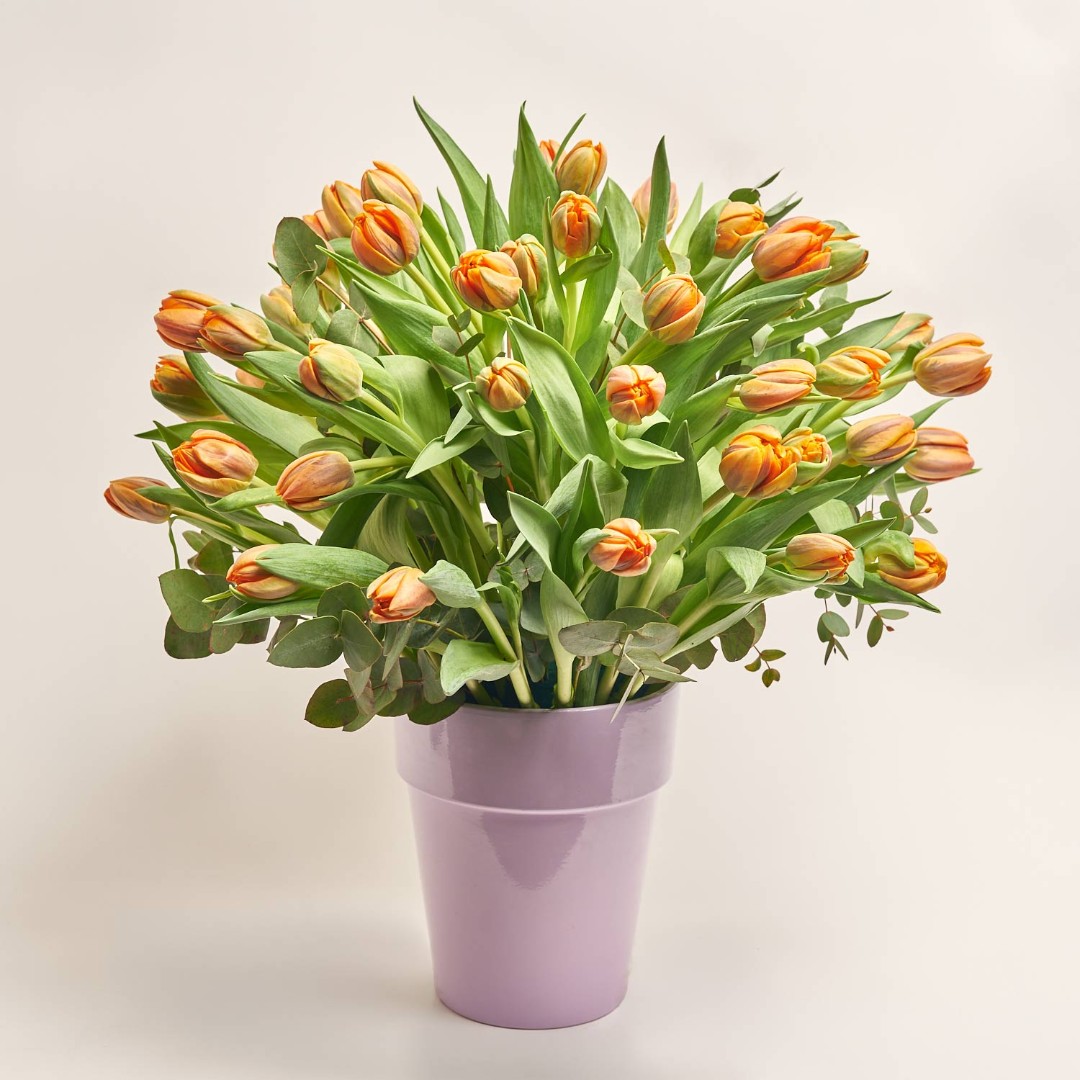 Product image 51 Orange Peony Tulips and Eucaliptus in flowerpot, vendor code: 4006