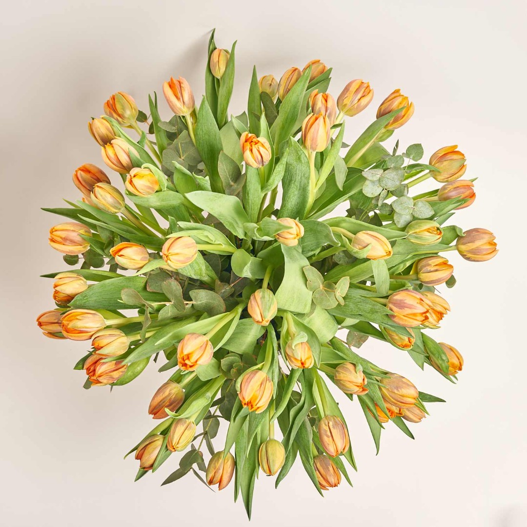 Product image 51 Orange Peony Tulips and Eucaliptus in flowerpot, vendor code: 4006